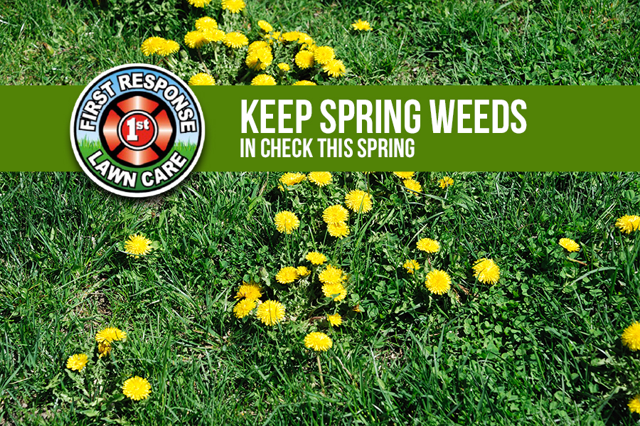 Keep Spring Weeds in Check This Season