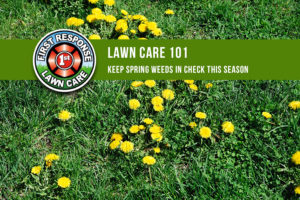 Keep Spring Weeds in Check This Season