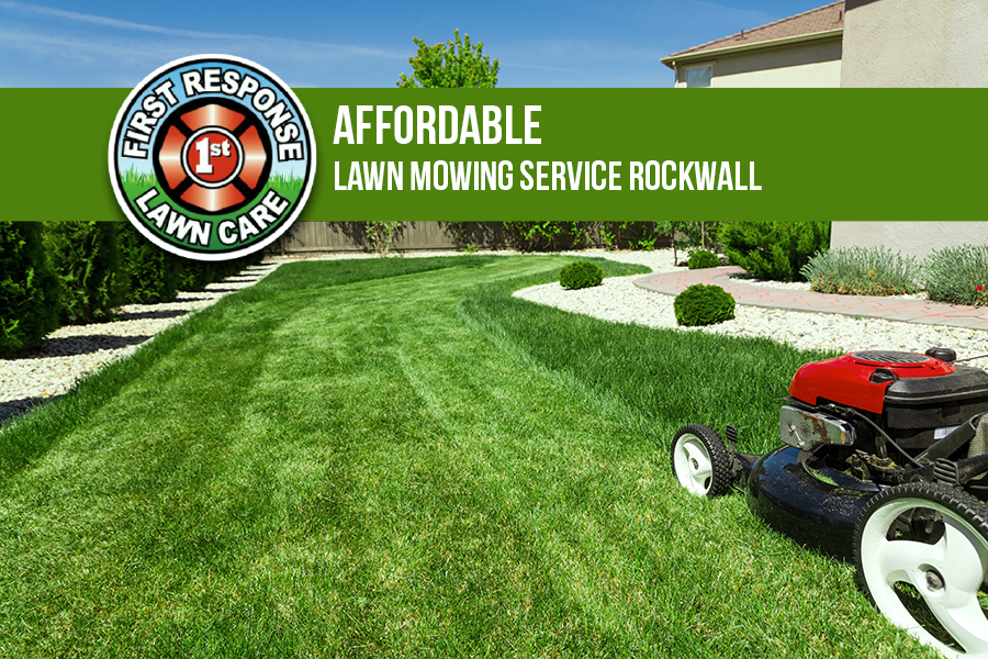 Affordable Lawn Mowing Service Rockwall