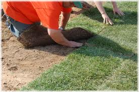 grass-and-sod-install-rockwall-texas - Millikens Irrigation & Lawn ...