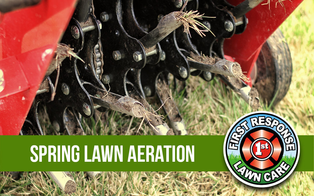 Spring Lawn Aeration