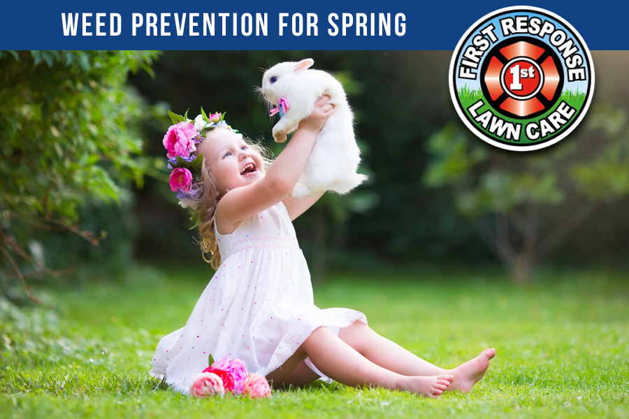 Weed Prevention for Spring