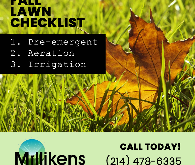 Fall Lawn Care Secrets