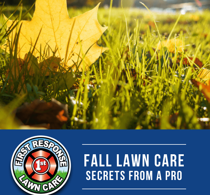 fall lawn care secrets