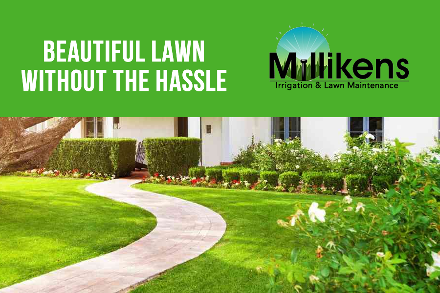 lawn maintenance rockwall